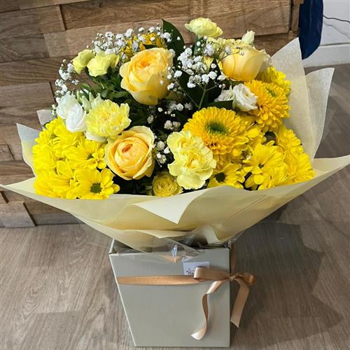 Sunshine in a Box