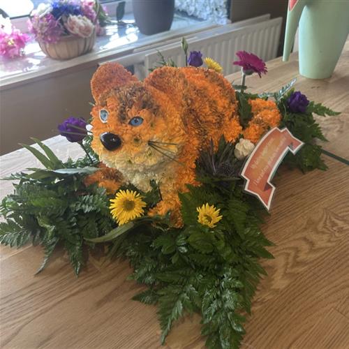 Cat Funeral Tribute