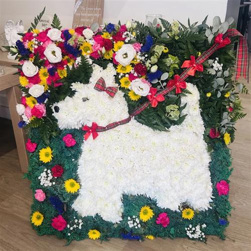 Scotty Dog Funeral Tribute