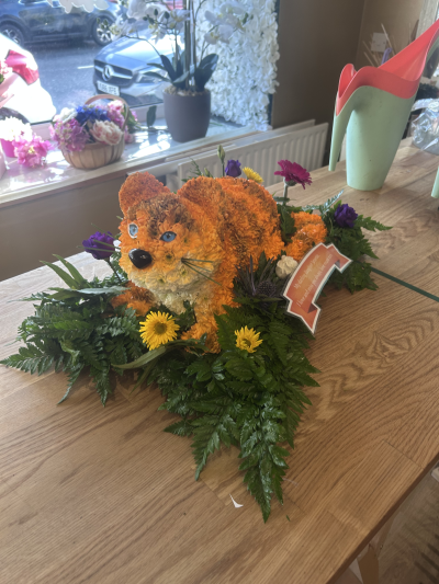 Cat funeral tribute - This beautifully crafted cat-shaped funeral tribute is a touching way to honour the life of a much-loved pet or a devoted cat lover. Hand-designed using soft orange paint and white chrysanthemums, the tribute captures the gentle character and warmth of a beloved feline companion.

Set on a base of rich green foliage and accented with subtle seasonal blooms, this arrangement offers a meaningful and comforting tribute while remaining respectful and full of personality. Finished with a personalised message card, it provides a heartfelt farewell and lasting memory.

Ideal for funerals, memorials, or celebrations of life for someone whose love for cats was close to their heart.

Personalised message cards and colour variations available on request.