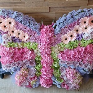 Bespoke Butterfly in Pastels